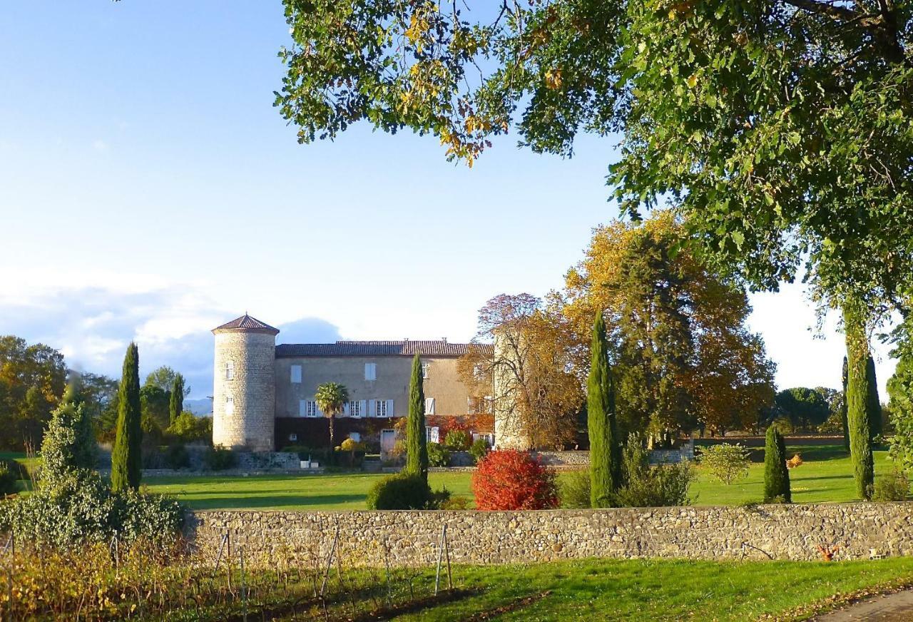 Gites Chateau De La Selve Гроп'єрр Екстер'єр фото